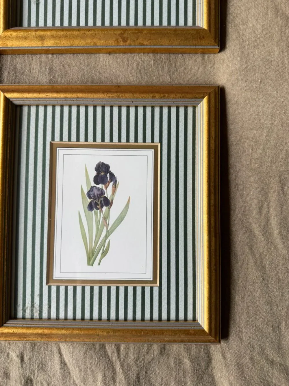 N/A framed botanical